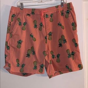 Urban Outfitters Pineapple Shorts Large